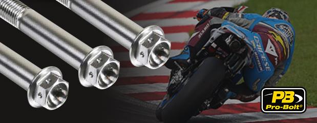 Pro-Bolt